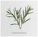 Serie New Style Modell "La Cuisine" echter Rosmarin
